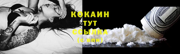 дмт Няндома