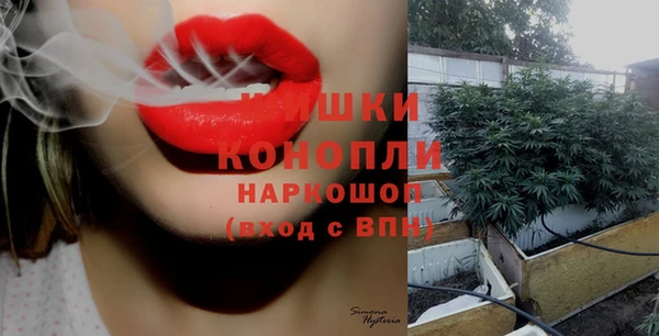 дмт Няндома